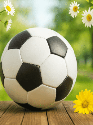 Lentecyclus Voetbalschool Go4pro